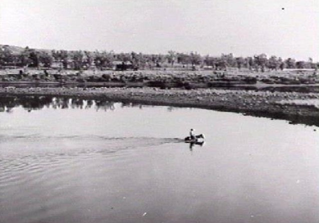 Whistler's Bones by Greg Barron (Trade/Collectors Edition)