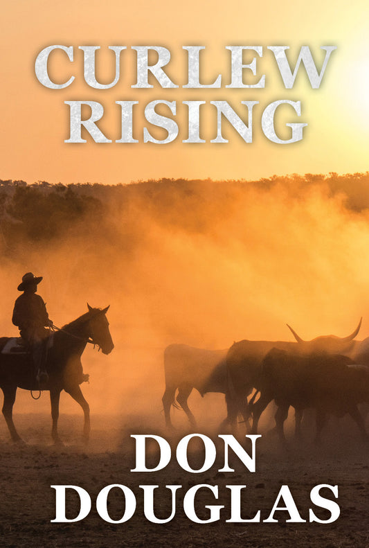 Curlew Rising by Don Douglas