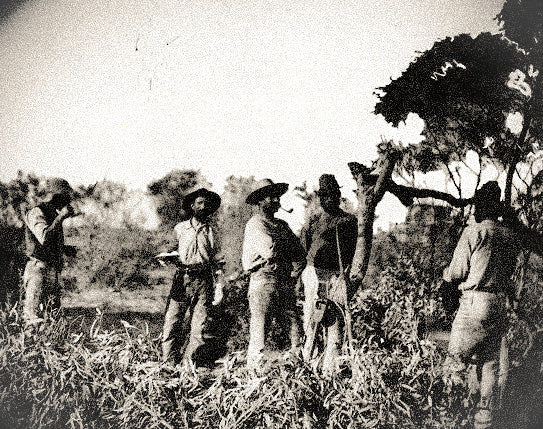 Whistler's Bones by Greg Barron (Trade/Collectors Edition)