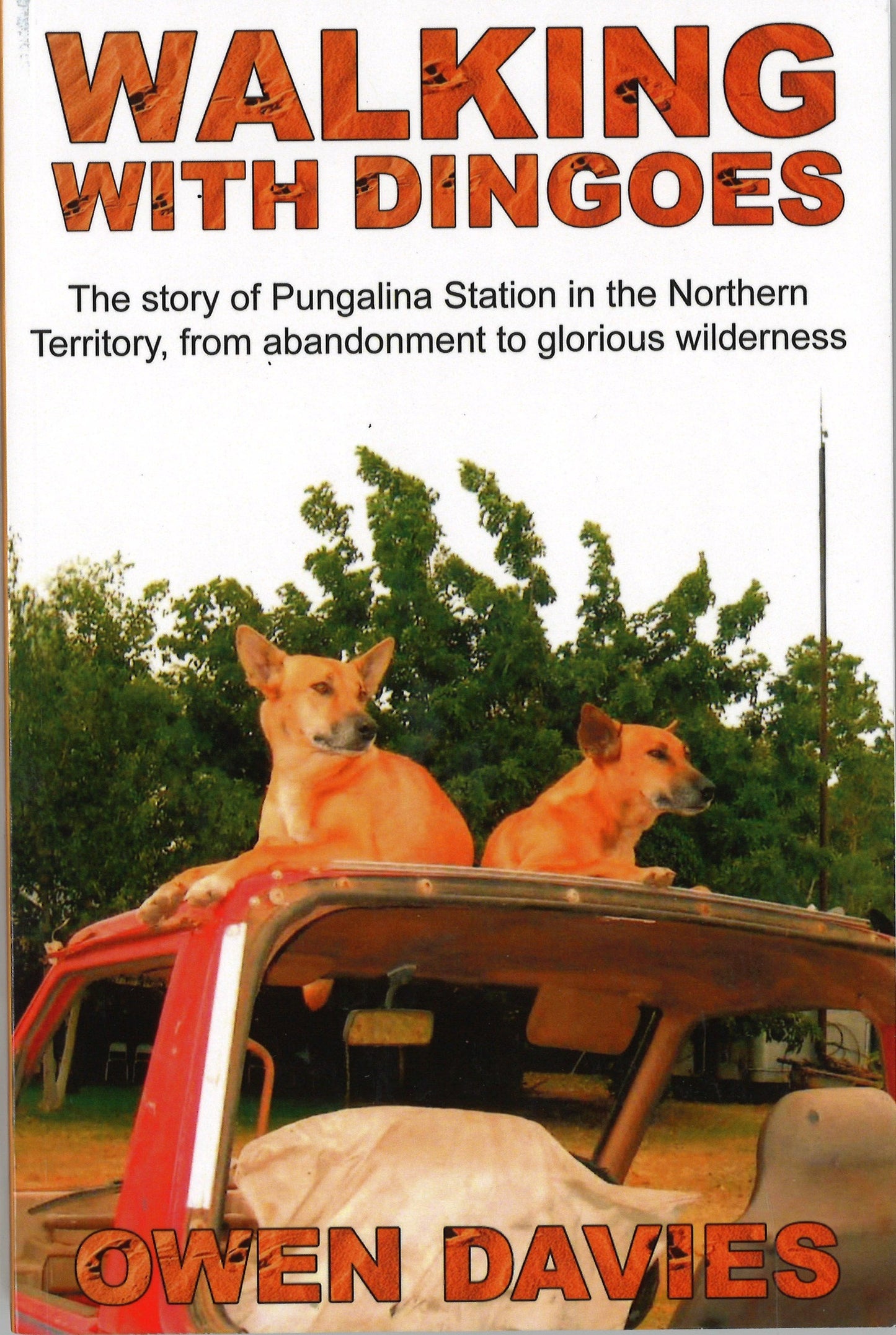 Walking With Dingoes by Owen Davies