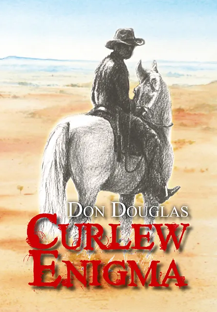 Curlew Enigma by Don Douglas