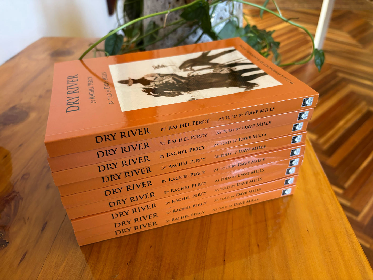 Dry River by Rachel Percy (as told by Dave Mills) - Paperback