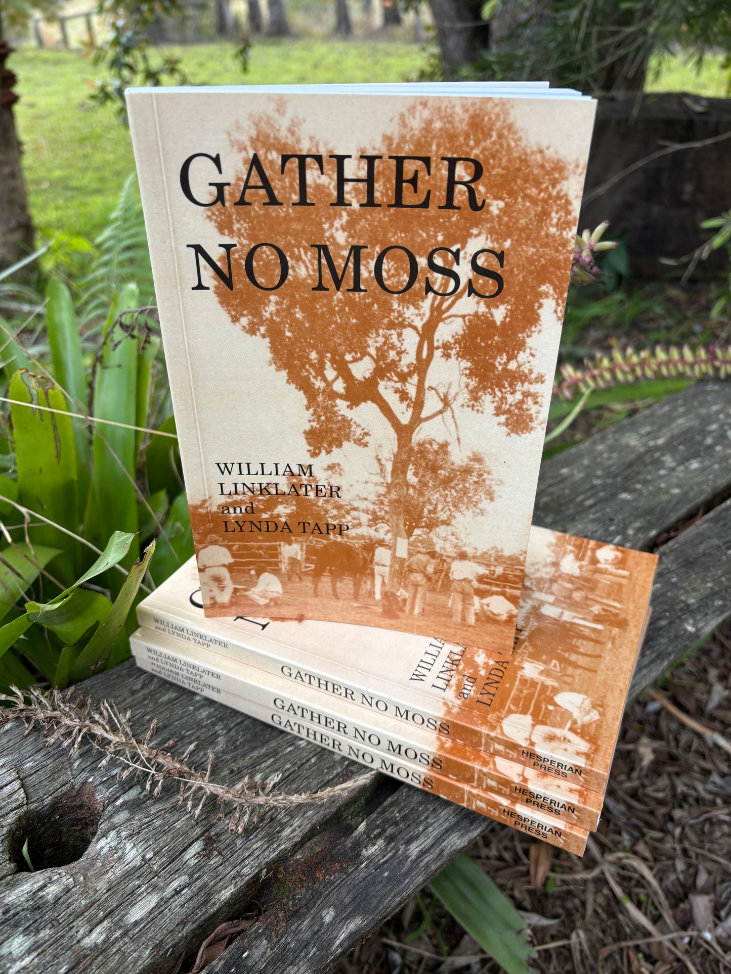 Gather No Moss by Billy Linklater (with Lynda Tapp)