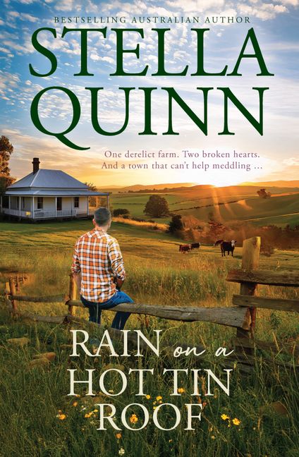 Rain on a Hot Tin Roof by Stella Quinn